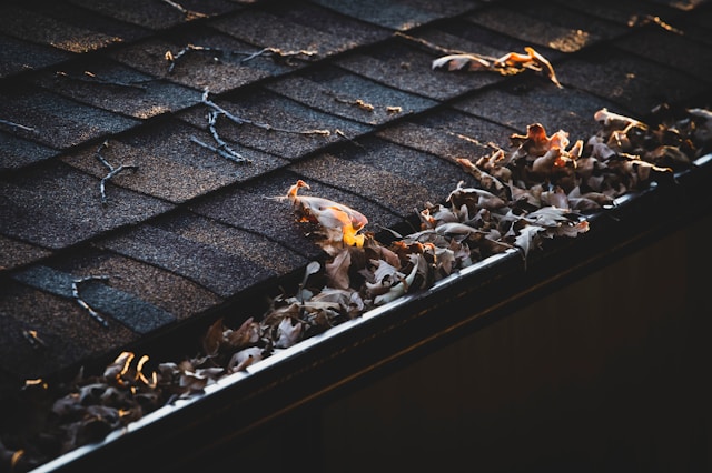 Photo of a gutter filled with leaves